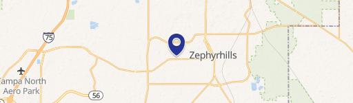 Zephyrhills, FL 33541