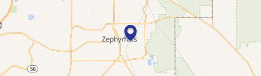 Zephyrhills, FL 33542