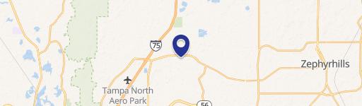 Wesley Chapel, FL 33543