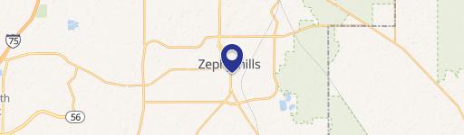 Zephyrhills, FL 33542