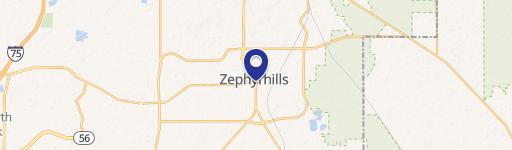 Zephyrhills, FL 33542