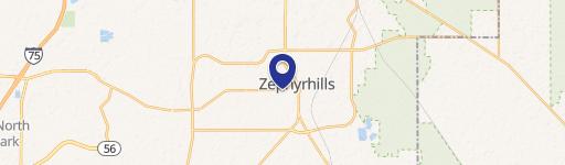 Zephyrhills, FL 33542