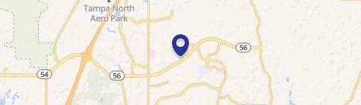 Wesley Chapel, FL 33543