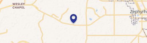 Wesley Chapel, FL 33543