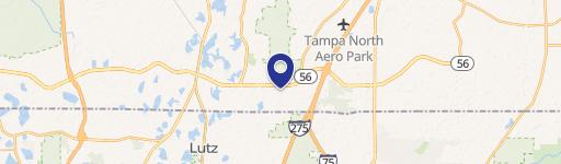 Lutz, FL 33559