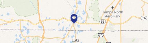 Lutz, FL 33549
