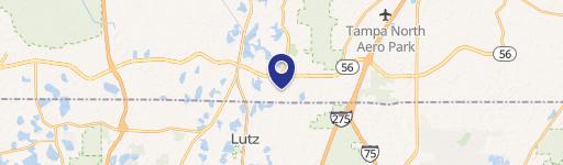 Lutz, FL 33549