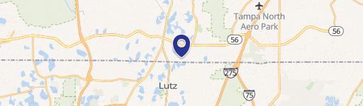 Lutz, FL 33549