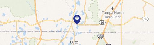Lutz, FL 33549