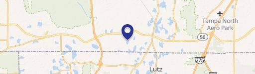 Lutz, FL 33558