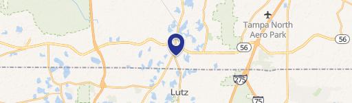 Lutz, FL 33549