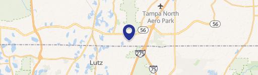 Lutz, FL 33559