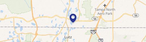 Lutz, FL 33549