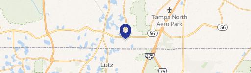 Lutz, FL 33549