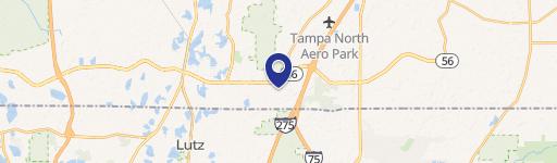 Lutz, FL 33559