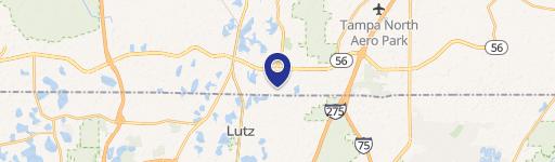 Lutz, FL 33549