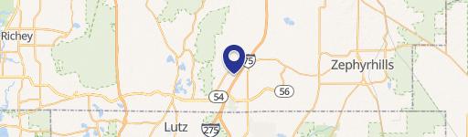 Lutz, FL 33559