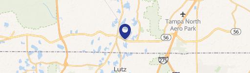 Lutz, FL 33549