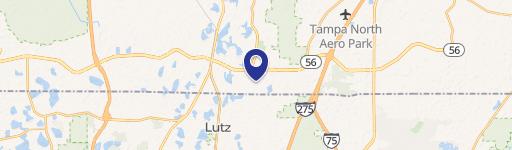 Lutz, FL 33549
