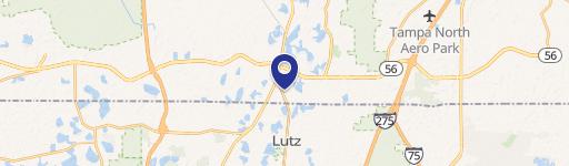 Lutz, FL 33549