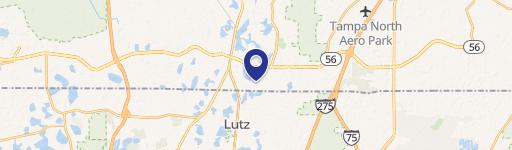 Lutz, FL 33549