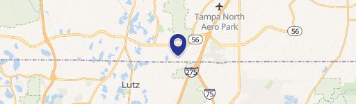 Lutz, FL 33559