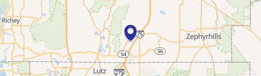 Lutz, FL 33559