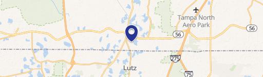 Lutz, FL 33549