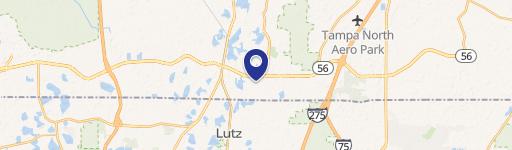 Lutz, FL 33549