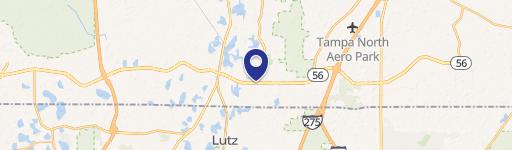 Lutz, FL 33549