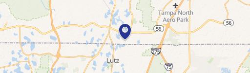 Lutz, FL 33549
