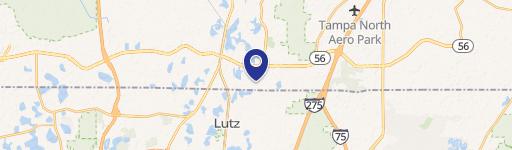 Lutz, FL 33549