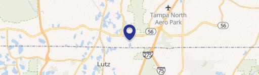 Lutz, FL 33559