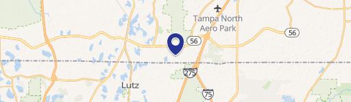 Lutz, FL 33559