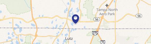 Lutz, FL 33549