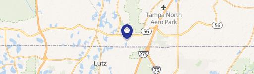 Lutz, FL 33559