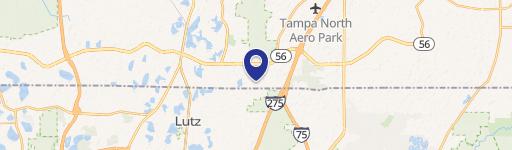 Lutz, FL 33559