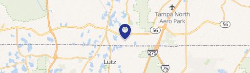 Lutz, FL 33549