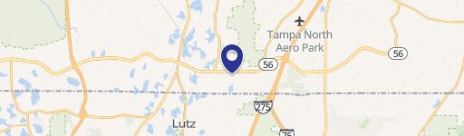 Lutz, FL 33559