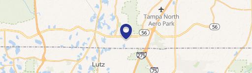 Lutz, FL 33559