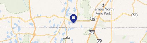 Lutz, FL 33549