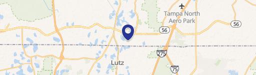 Lutz, FL 33549