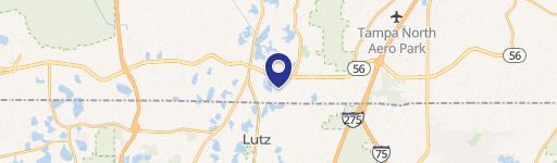 Lutz, FL 33549