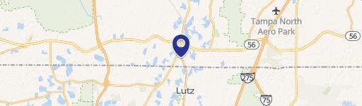Lutz, FL 33548