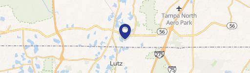 Lutz, FL 33549