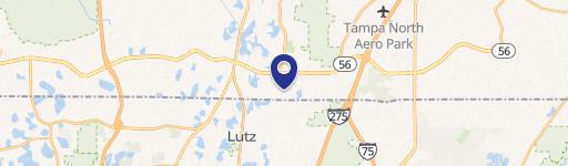 Lutz, FL 33549