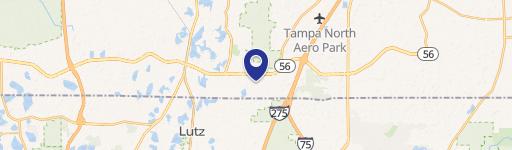 Lutz, FL 33559