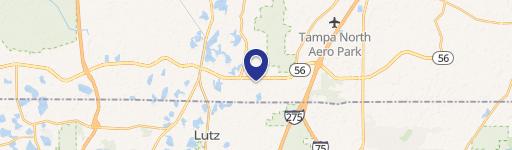 Lutz, FL 33559