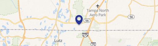Lutz, FL 33559