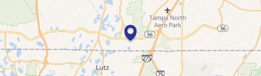 Lutz, FL 33559